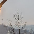 11월의로렐 | 2025년 총정리