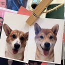 이치진외도 | 사진에서 왜 반팔을 입고 있냐구요? 8월 일기거든요 ㅎ