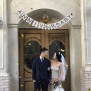 달빛가루 이미지