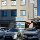 놀러와캣독 이미지