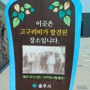 충주고구려비전시관 이미지