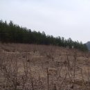 해순농장 이미지