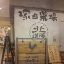 [일본 도쿄] 츠카다 농장(塚田農場) TSUKADA FARM ? 치킨전문점 이미지