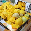 김정운농장 이미지