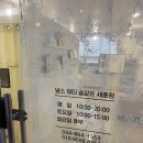 널스뷰티 숲칼프 세종점 | 널스뷰티숲칼프세종점 세종탈모관리 후기