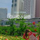 미사뚝방산책로 | 하남 미사호수공원 5만송이 장미정원 경기도 가볼만한곳