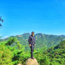 고려대학교 법무대학원 이미지