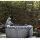 관음사 가는길 네이버블로그