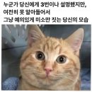 아산선운산작은도서관 | 신장 이식 수술 D+80) 수술 후 처음 혼자 외출한 ssul 샤브샤브/영화관/도서관