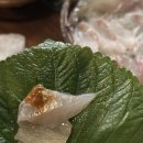 한점 | 모듬회 생새우가 유명한 가성비 좋은 부산 서면횟집 술집 [ 한점 ] 내돈내산 후기