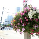 구로-고척-구로-14 이미지