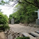 수원-0100 Daum카페