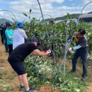 홍천읍행정복지센터 이미지