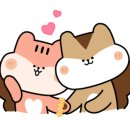 태백무인텔 이미지
