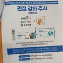 동부동물병원 네이버블로그