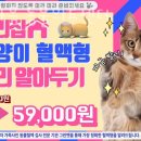 한마음 동물병원 이미지