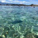 (주)천지인터내셔널트럭 | DAY16. 샥스코브 스노쿨링, 지오반니새우트럭, 마츠모토 쉐이브아이스, 해피할레이바, 레오나즈베이커리