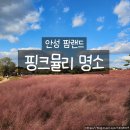 개랑 나들이 | 안성 가볼만한곳 추천, 안성팜랜드 핑크뮬리밭 가족 나들이 후기
