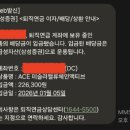 ACE 테슬라 밸류체인 액티브 배당금 후기