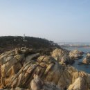 울산 이미지
