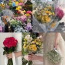 영신상가 | W.10_ 10만원 이하로 촬영부케 3개 ‘에덴원예’ 영신상가 꽃시장 가성비 웨딩촬영 후기:)