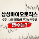 더리터사대부고점 | 수주 1.2조 터졌는데 주가는 역주행...아무도 말 안 해주는 삼성바이오 변수