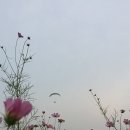 상대리[서] 네이버블로그