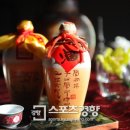 세계로임페리얼 이미지