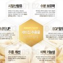 화연화장품