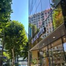 [🫒OLIVE BETTER] 웰니스 끝판왕! 올리브베러 광화문점을 다녀 와 보았습니다🤓