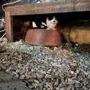 조각가박시동 미술관 이미지