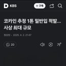 강릉 권성동 지역구 마약1톤 이미지