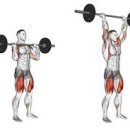 더월드짐 이미지