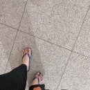 비에이치씨도선점 이미지