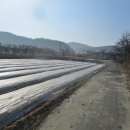 신당1리 경로당 이미지