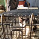 무수농장 이미지