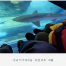 광교 아쿠아리움 (아쿠아플라넷) ｜투명 보트 100cm 돌파 기념 탑승 후기