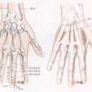 유행처럼 번지고 있는 수족구병 치료법 설명 입니다 이미지