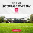 송탄블루윙즈풋살장