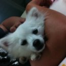 해동가축병원 이미지