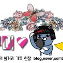새날헤어살롱