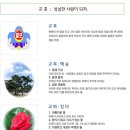 월포초등학교 이미지