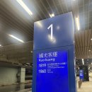 1819 | 대만 타이베이 타오위안 공항 국광버스 1819 토요일 새벽 도착 탑승 후기(줄 안 서는 법)