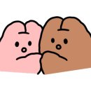 미야클레프