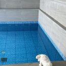 위클라드 펜션 이미지