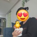 화성산후도우미 산모와 아기에게 진심을 담은 슈퍼맘 후기