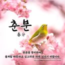 춘분 이미지