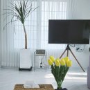 쉼 토평리 이미지