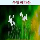 제772회 로또 1등 당첨을 비나이다~~644일차 이미지