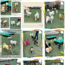 더 예쁘개 이미지